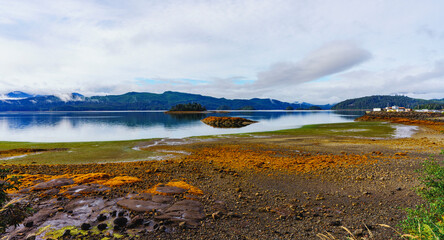 Islands nestled among placid waters on Bearskin Bay, Queen Charlotte, Haida Gwaii, at low tide on a cloudy day.