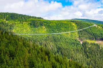 Fototapeta premium Sky Bridge 721 is the longest suspension bridge between two hills in the forest, Dolni Morava, Czech Republic . One way footbridge in touristic place in the forest in summer. 