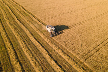 Combine harvester agriculture machine harvesting wheat field