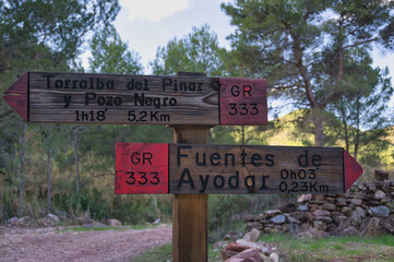 Signposted paths. Directional signpost on long-distance trail in the forest. Selective focused.Horizontal