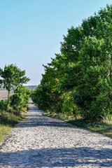 Typical rural road paved with stones in the countryside. Selective focus