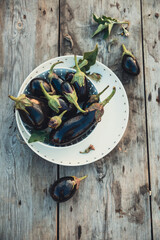 Different eggplants on a white dish and a wooden table in the vegetable garden. Vegetable authentic still life, autumn harvest