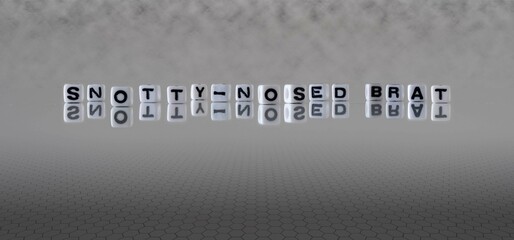 snotty nosed brat word or concept represented by black and white letter cubes on a grey horizon background stretching to infinity - obrazy, fototapety, plakaty