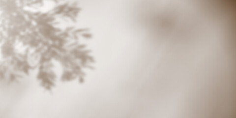 Obraz premium Shadow background of tree leaves - 3D render