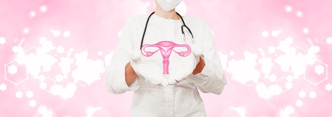 Woman doctor holds 3d rendering female reproductive system. Medical personal on pink background with shine and light. Banner for advertising women's health care. Prevention of cervical and ovarian