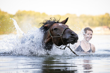 Pferd schüttelt sich im Wasser © Nadine Haase