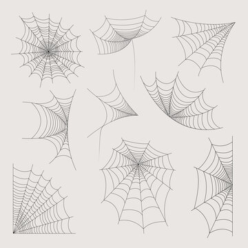 Set of spider webs