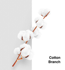 Realistic cotton branch on transparent background. Vector illustration. Great for your design. EPS10.