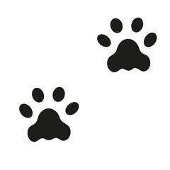 Cat paws on white background