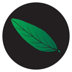 Magnolia leaf in a black circle. Hand drawn vector illustration for cards, invitations, print and posters.