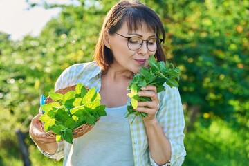 Smiling woman with mint leaf harvest in summer garden © Valerii Honcharuk