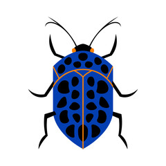 Isolated beetle Summer insect Animal Vector