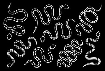 Silhouettes of snakes. Tropical toxic reptiles illustration. Dark snakes elements for tattoo design. Exotic rattlesnakes isolated on black background.
