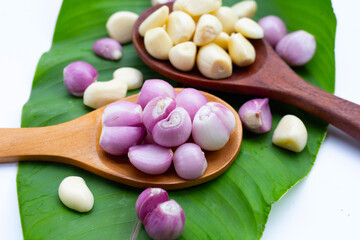 Fresh garlic with shallot on green leaf