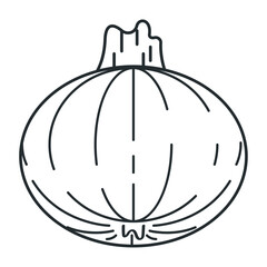 fresh onion vegetable