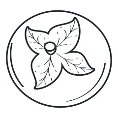 fresh tomato vegetable