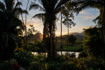Golden Sunrise from Sleeping Giant Lodge in Belize