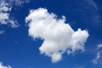 Naklejka na ściany i meble Blue sky background with cloud in the shape of a fish. Copy space