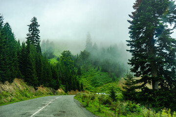 Fototapeta premium Caucasus mountain in georgian region Guria