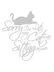 sorry cat was sitting 