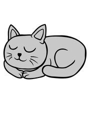 Schlafende liebe liegende Katze 