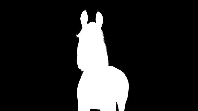 White horse notices something with ALPHA Channel. ProRes 12bit mov 4444. 3d render Seamless loop video.