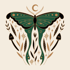 Magic luna moth celestial moon night butterfly magical vector and jpg printable image, unique boho clipart illustration, editable isolated details. Perfect for poster or postcard template, t-shirt © Knstart Studio