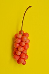Beautiful yellow background and ripe berries lemongrass 