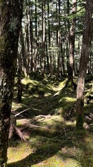 Obraz premium nagano