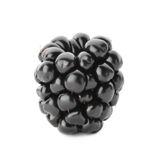 One tasty ripe blackberry isolated on white