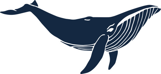 Humpback Whale