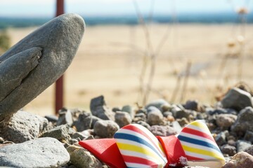 Selective focus shot of a Fondant Bow on the rocks