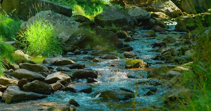Mountain river on a sunny summer day. Nature landscape. Green lush forest in the morning. Mesmerizing flow of cold fresh water on a hot afternoon. Sun rays illuminate the greenery.