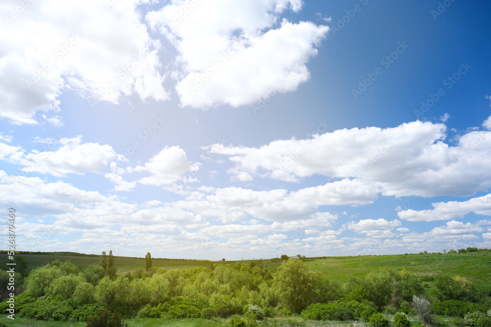 Poster Beautiful landscape with green trees on sunny day