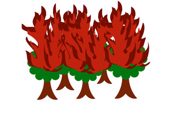 異常気象による森林火災