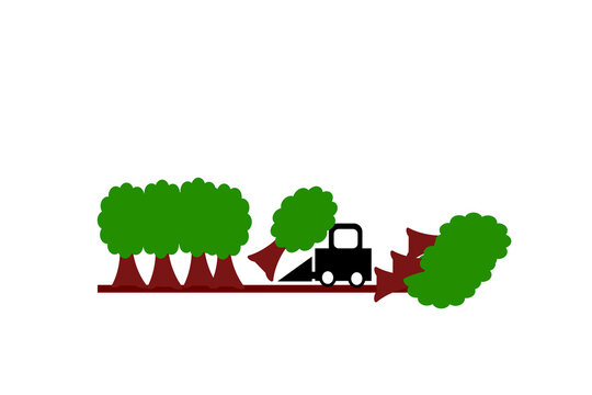 森林伐採 Images Browse 4 Stock Photos Vectors And Video Adobe Stock