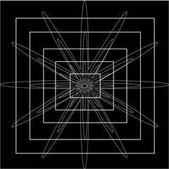 Vector line flowers square for footage background wallpaper and seamless artwork illustration texture of art graphic design isolated flat trendy design for fabric cotton beautiful pattern colorful