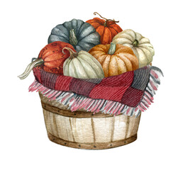 Watercolor pumpkin harvest basket, fall  composition for Thanksgiving and autumn arrangement card, Farmhouse rustic garden illustration
