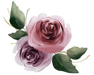 pink rose isolated on white