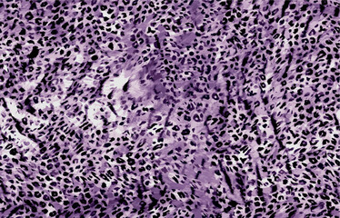 abstract animal skin pattern vector	