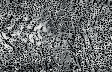 leopard skin vector