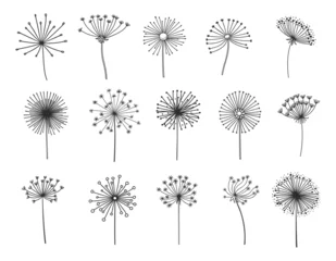 Fotobehang Dandelion silhouettes set, flower seeds in wind, vector flying spring blossoms. Dandelion plant floral fluffs in thin line, fluffy dandelion pattern in blow, softness, freedom or tranquility symbol © Vector Tradition