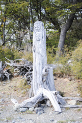 Two heads carved in a tree trunk on Brazo Rico lakeshore, Perito Moreno Glacier