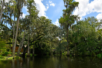 Exploring Shingle Creek on a kayak Eco Tour through a beautiful cypress forest in Kissimmee, Osceola County just south of Orlando, Florida
