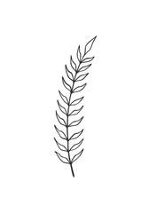 Vector modern floral banner design for social media cover, flyer, invitation card, website design, book cover, poster