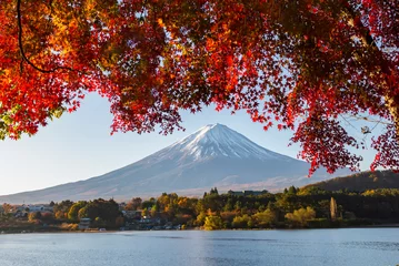 Photo sur Plexiglas Mont Fuji Fuji mountain and Red Maple Leaves in autumn, Kawaguchiko Lake, japan