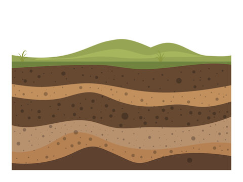 layers of grass with underground layers of earth