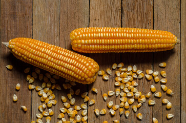 yellow dries corn on the wooden floor