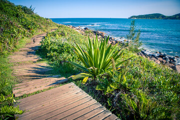 Naklejka premium Na praia, no mar, na natureza.