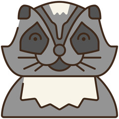 racoon